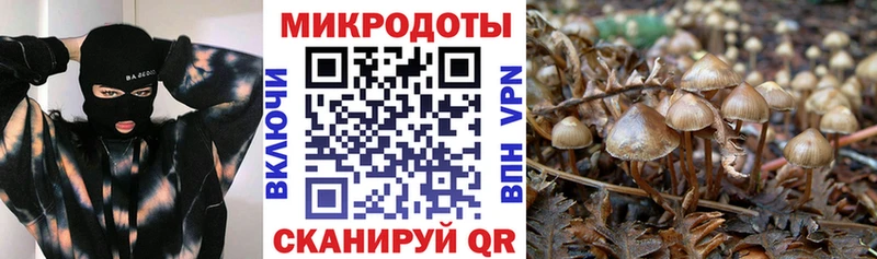 Галлюциногенные грибы MAGIC MUSHROOMS  Тосно 