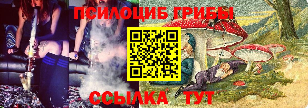 Тосно  Псилоцибиновые грибы Magic Shrooms  Вход с VPN 